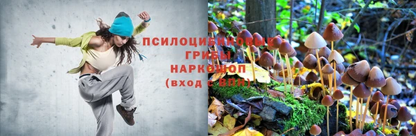 apvp Волосово